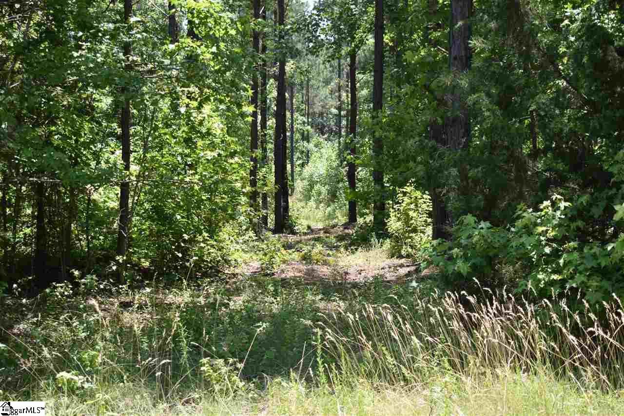 Honea Path, Greenville County, SC Undeveloped Land for sale Property ID