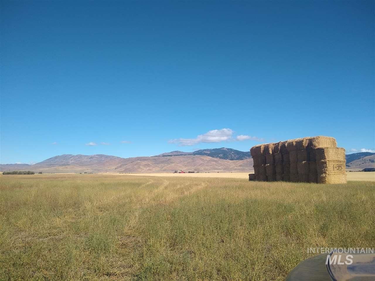 Fairfield, Camas County, ID Farms and Ranches for sale Property ID