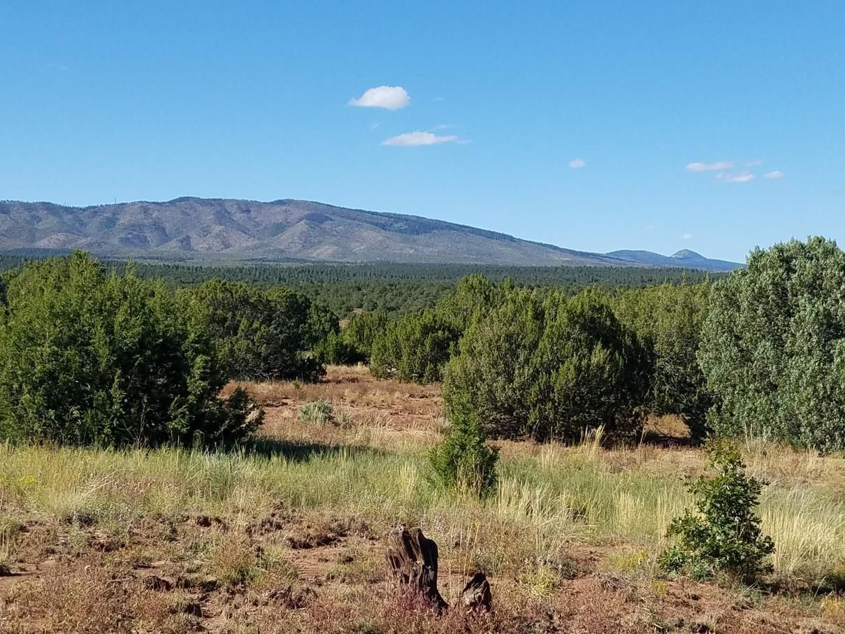 Manzano, Torrance County, NM Undeveloped Land for sale Property ID