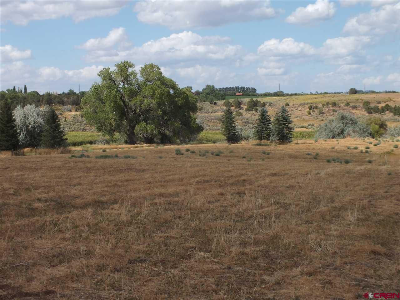 Cortez, Montezuma County, CO Undeveloped Land for sale Property ID