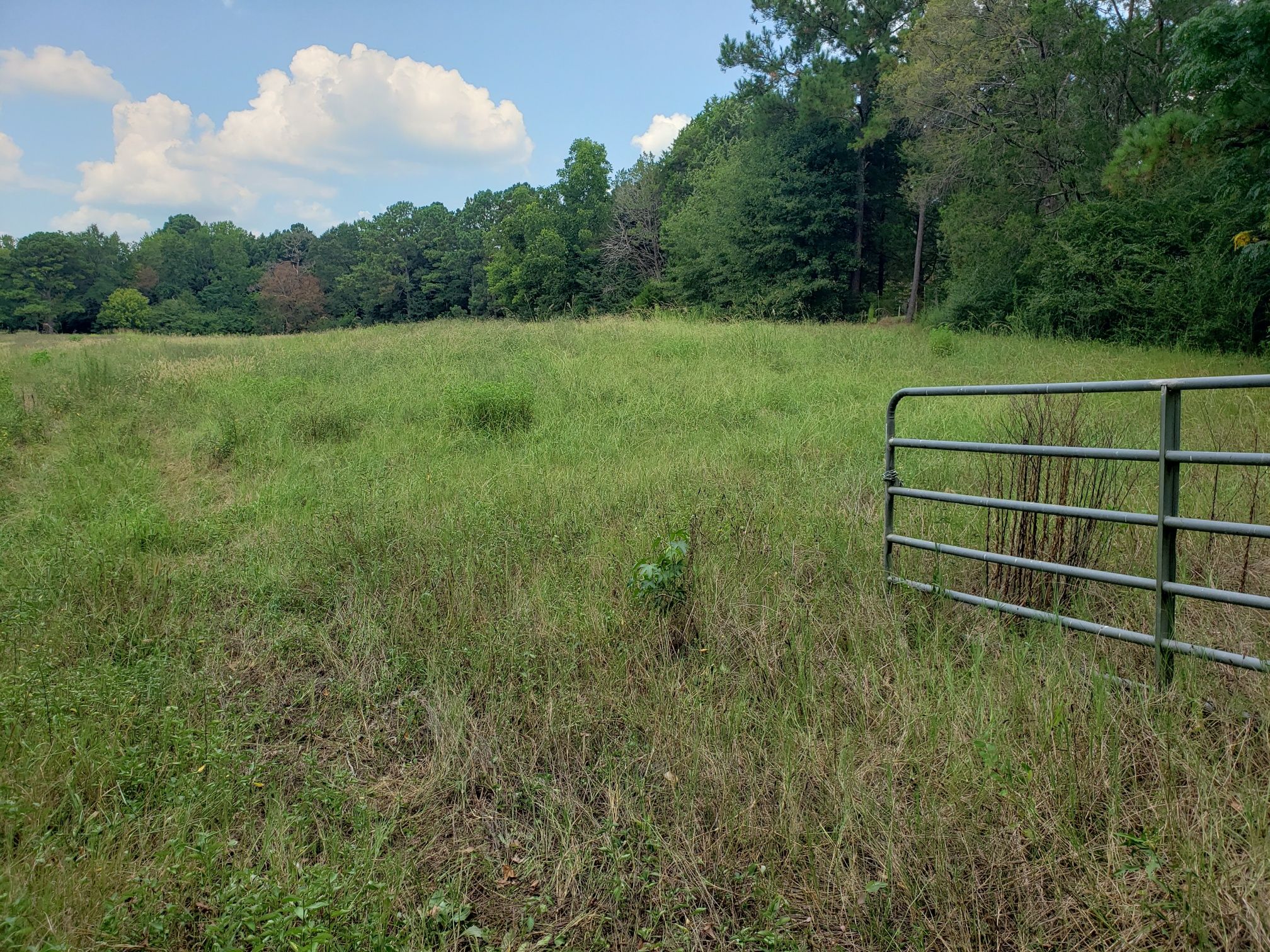 Chambers County, AL Undeveloped Land for sale Property ID