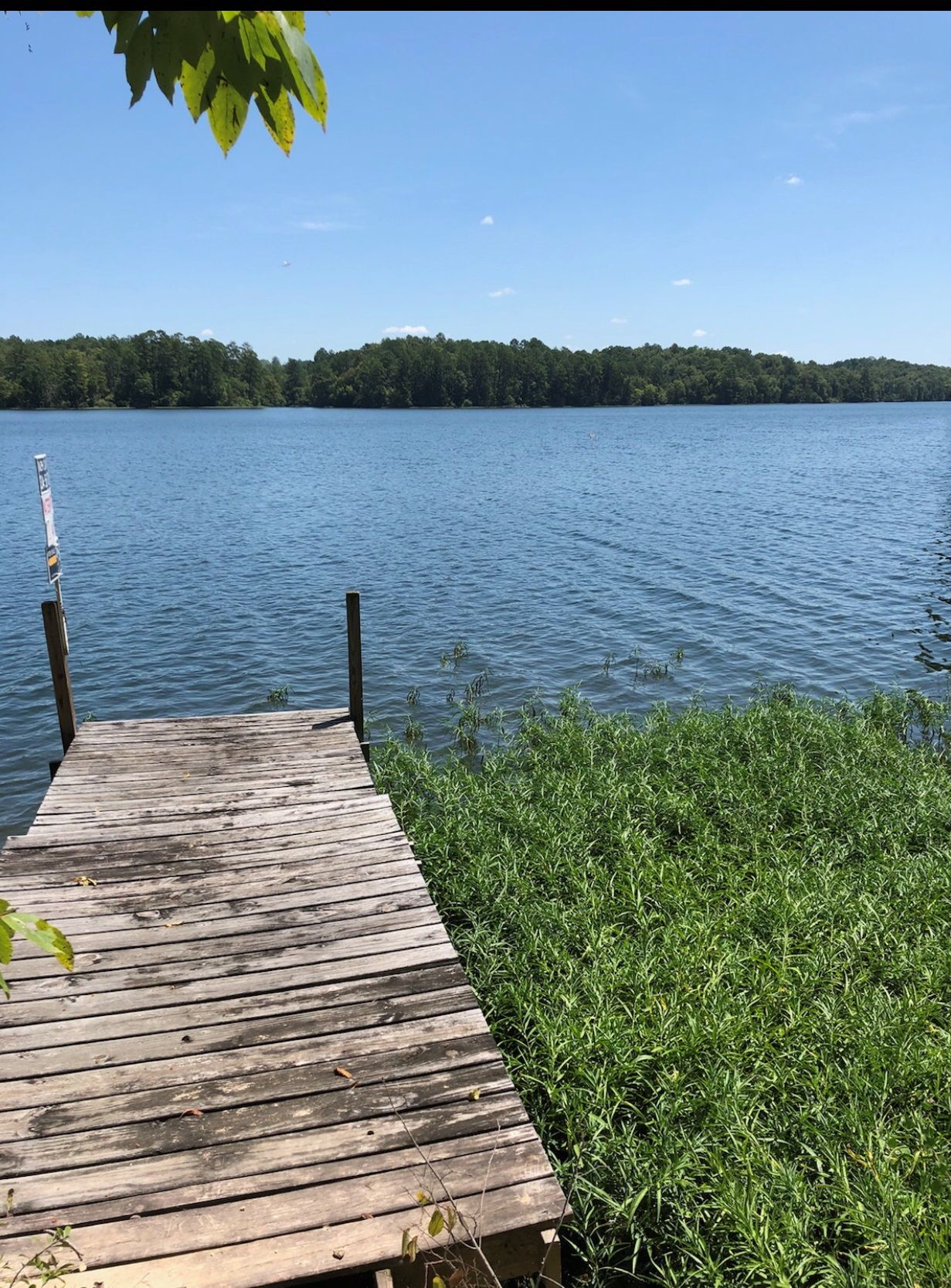 Deatsville, Elmore County, AL Undeveloped Land for sale Property ID