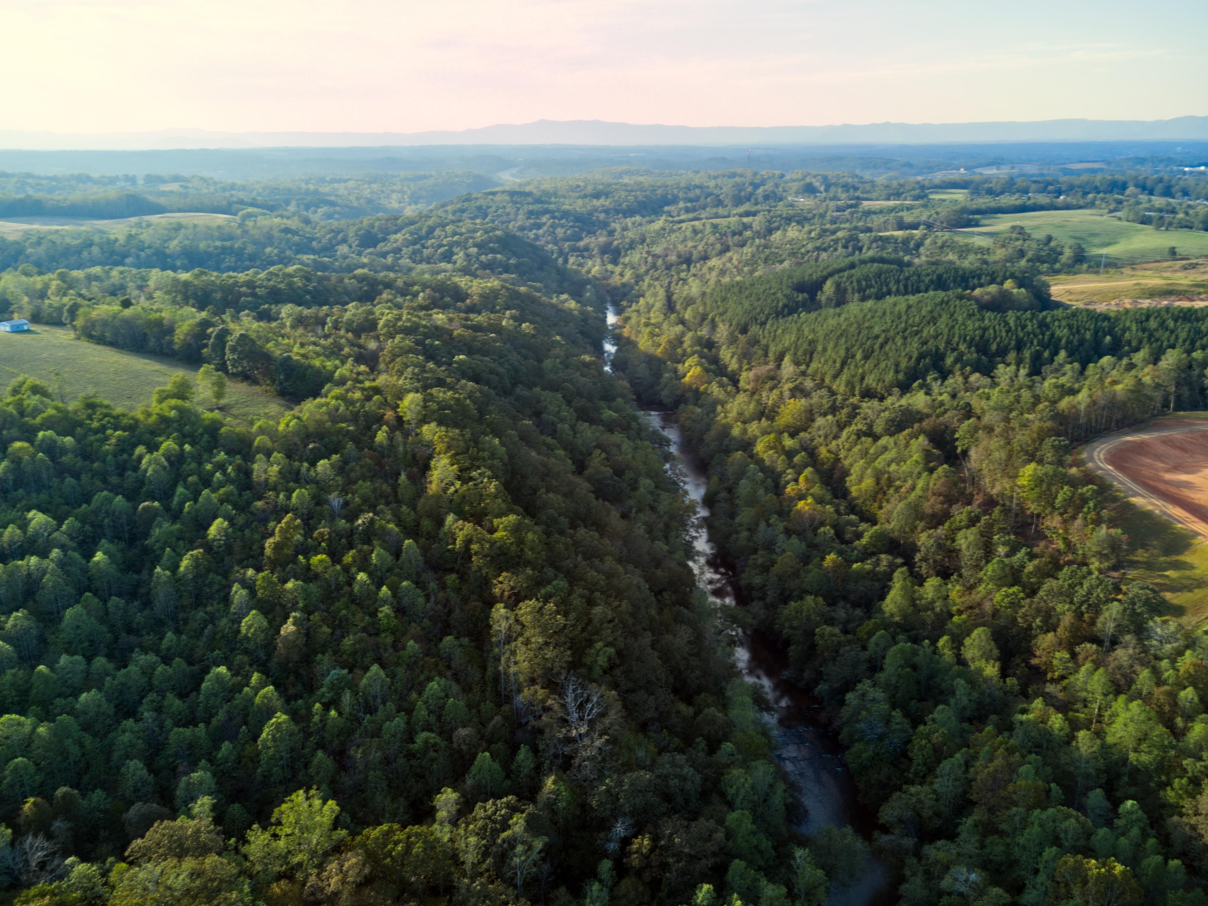 Ararat, Surry County, NC Recreational Property, Hunting Property