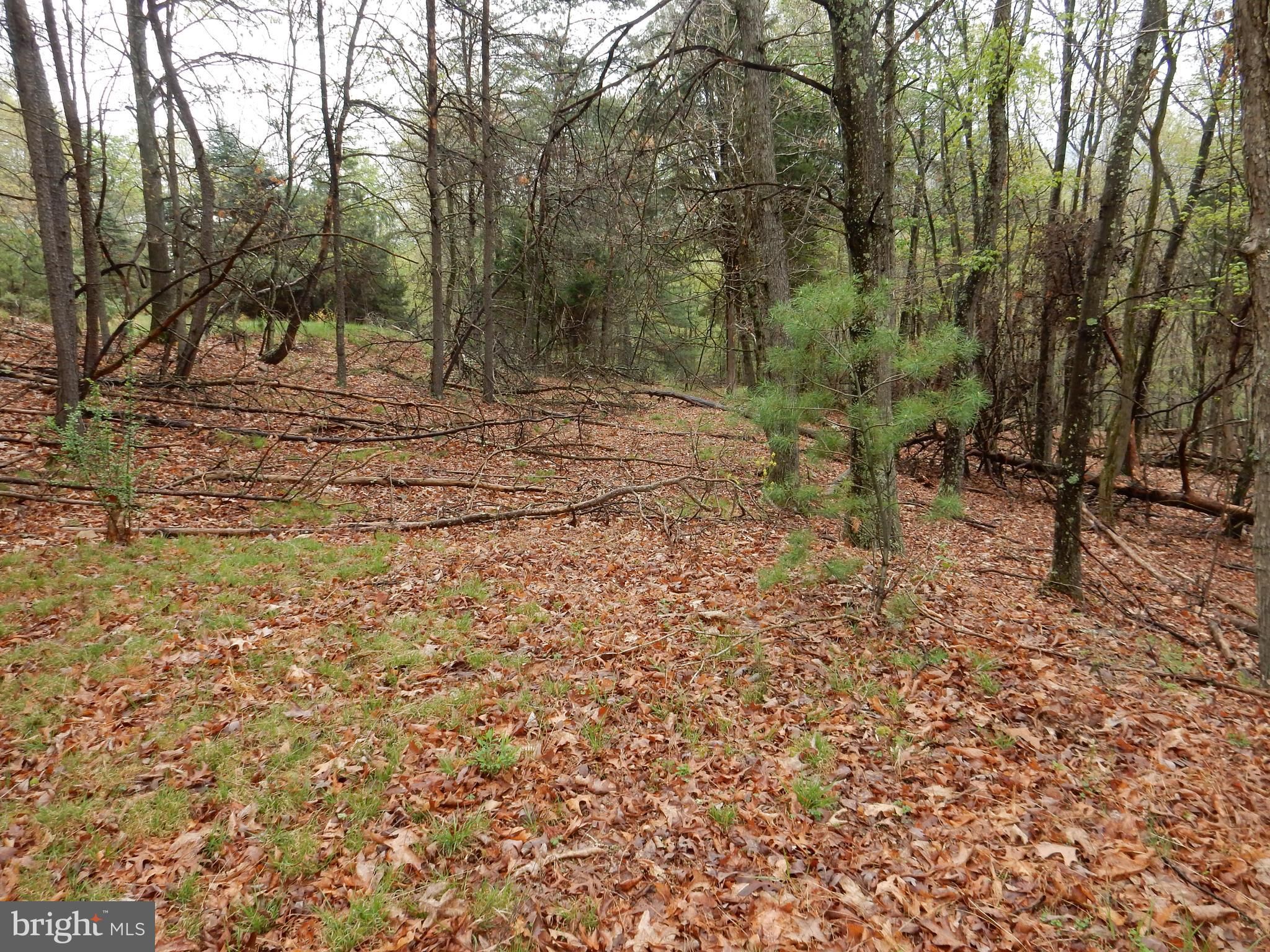 Capon Springs, Hampshire County, WV Undeveloped Land for sale Property