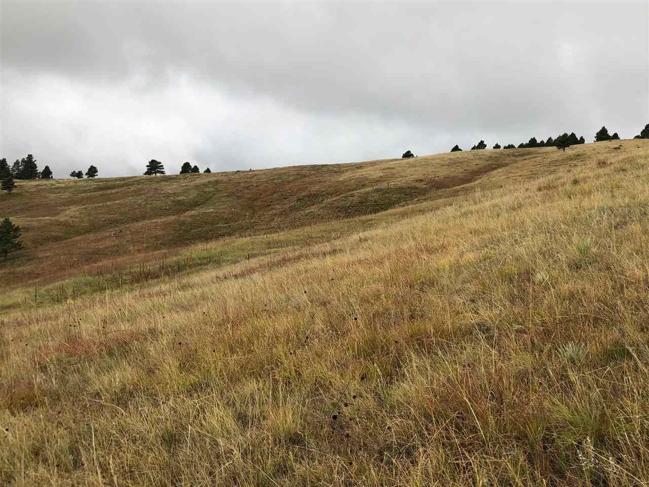 Fairburn, Custer County, SD Undeveloped Land for sale Property ID