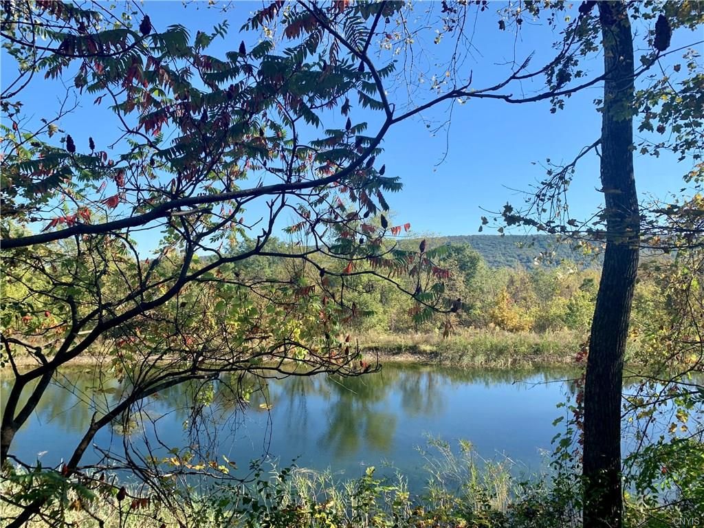 Onondaga, Onondaga County, NY Undeveloped Land for sale Property ID