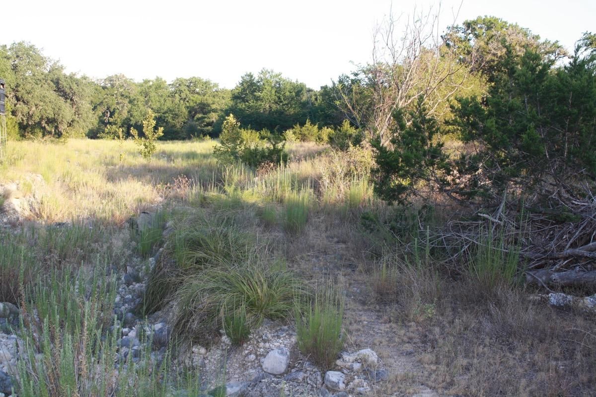 Utopia, Bandera County, TX Farms and Ranches, Recreational Property