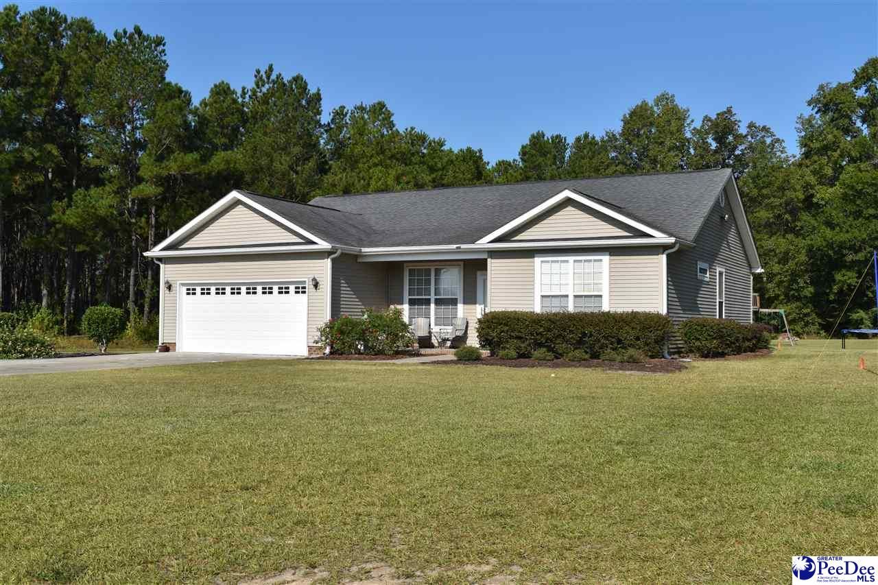 Pamplico, Florence County, SC House for sale Property ID 336417512