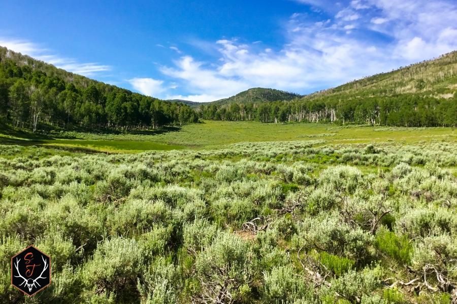 Scofield, Carbon County, UT Farms and Ranches, Recreational Property