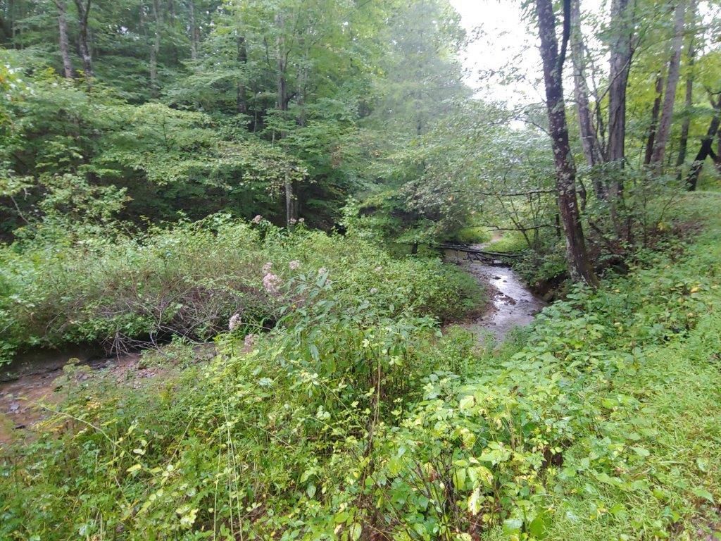 Fries, Grayson County, VA Recreational Property for sale Property ID