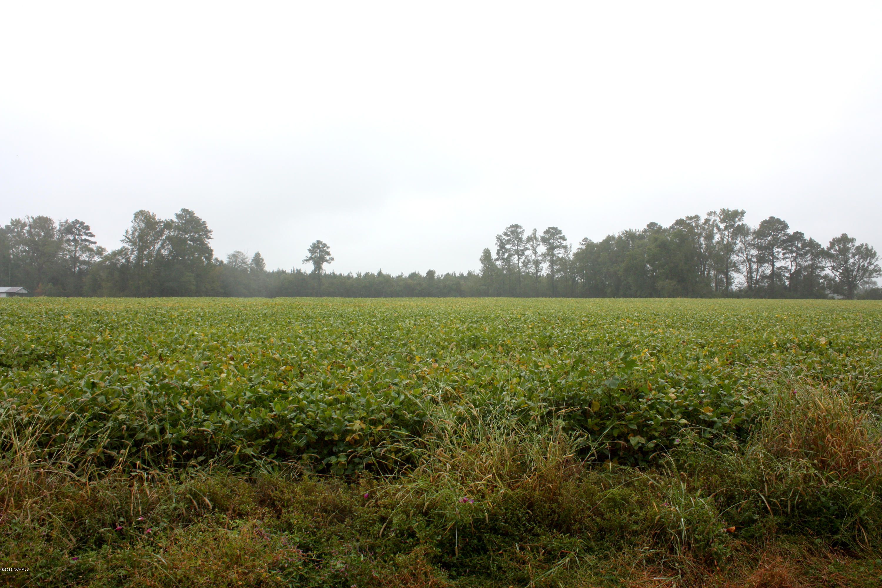 Grimesland, Pitt County, NC Undeveloped Land for sale Property ID 336423446 LandWatch