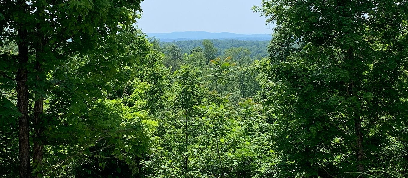 Celina, Clay County, TN Recreational Property, Timberland Property for