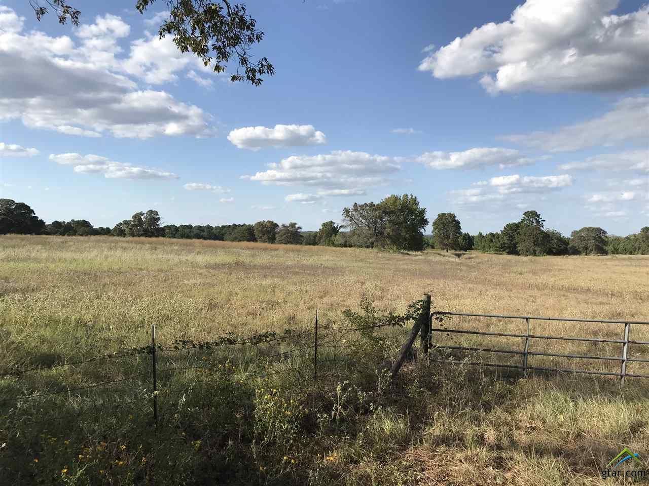 Neches, Anderson County, TX Undeveloped Land for sale Property ID