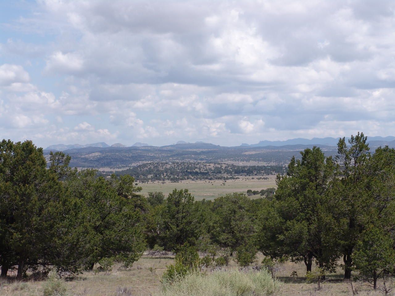 Datil, Catron County, NM Undeveloped Land for sale Property ID 336463230 LandWatch