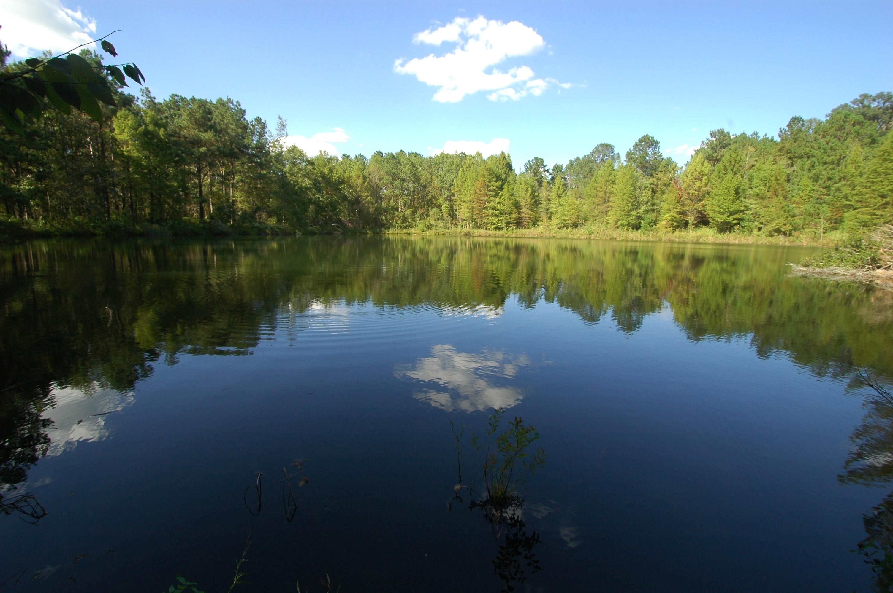 Havana, Gadsden County, FL Recreational Property, Undeveloped Land