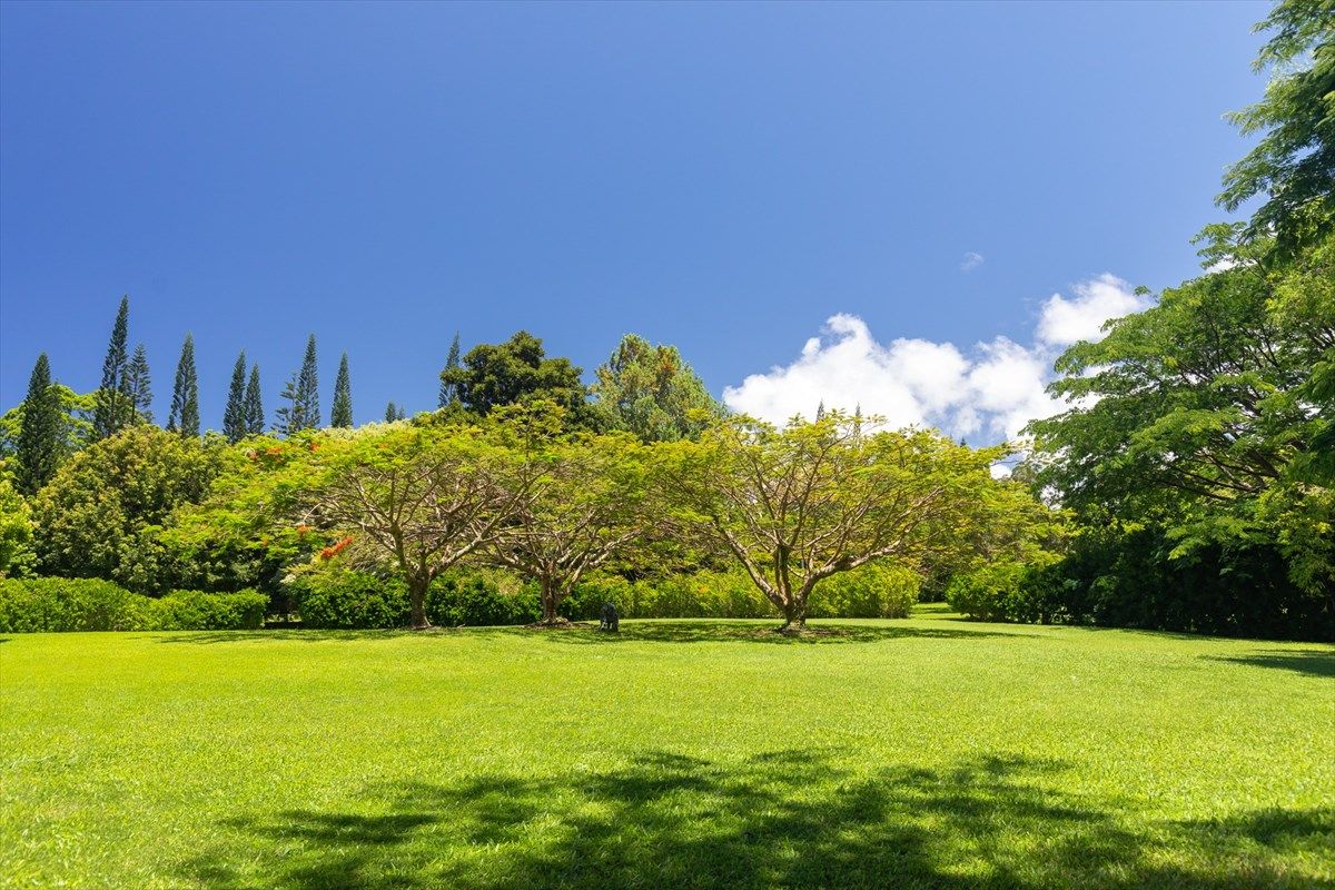 Ninole, Hawaii County, HI Undeveloped Land, Lakefront Property, Waterfront Property for sale