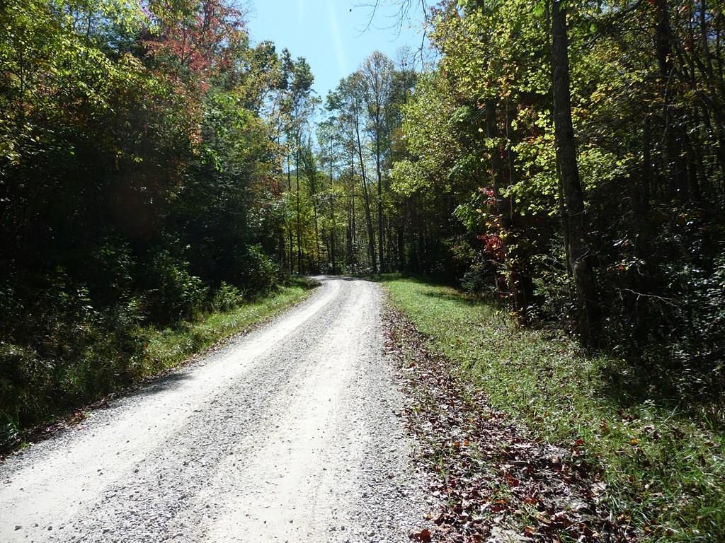 Topton, Macon County, NC Farms and Ranches for sale Property ID