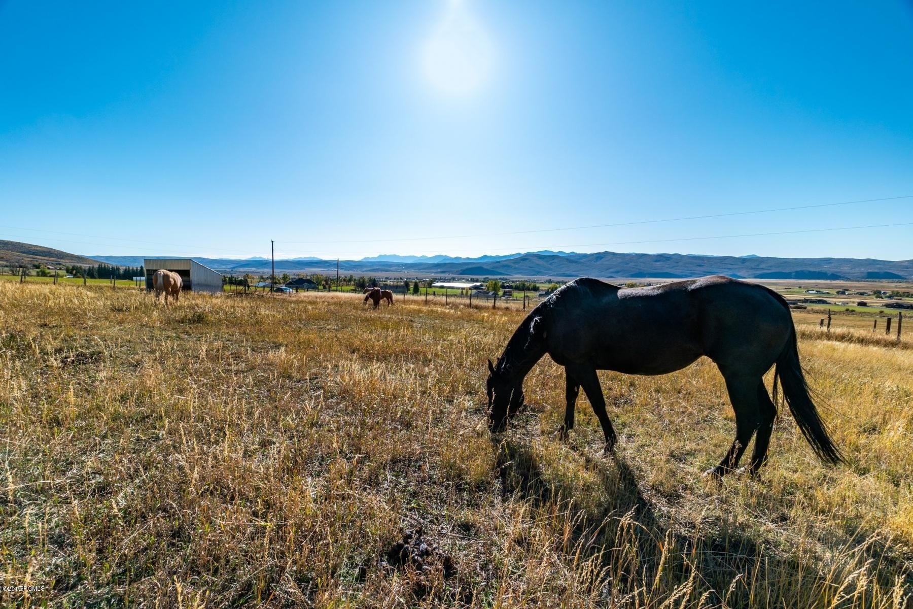 Kamas, Summit County, UT Farms and Ranches for sale Property ID