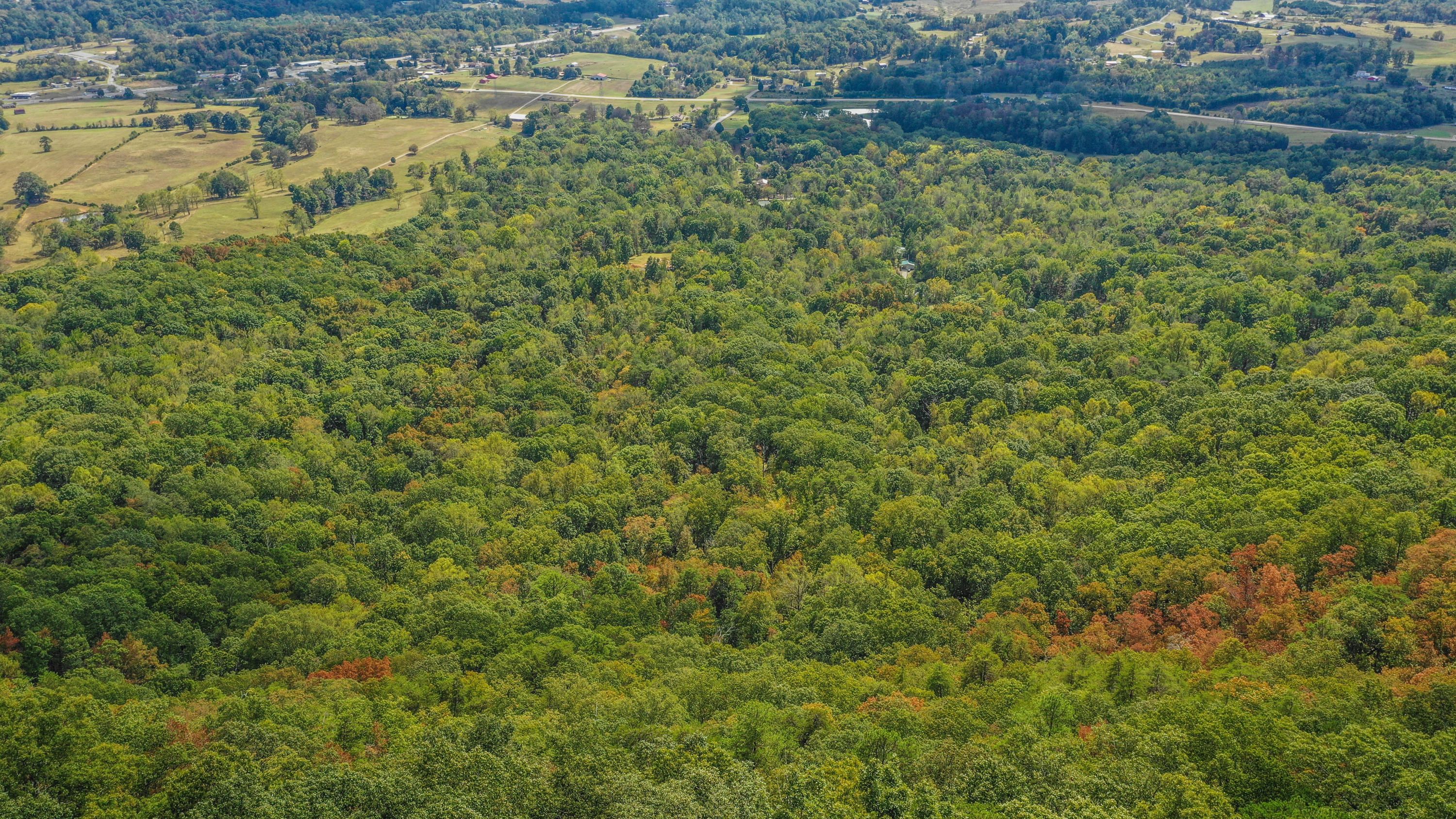 Blaine, Grainger County, TN Undeveloped Land for sale Property ID