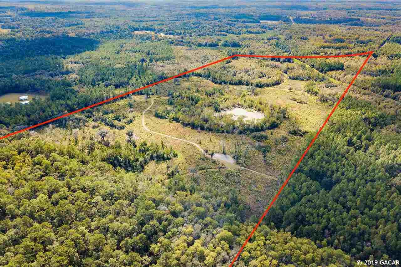 Greenville, Taylor County, FL Undeveloped Land for sale Property ID