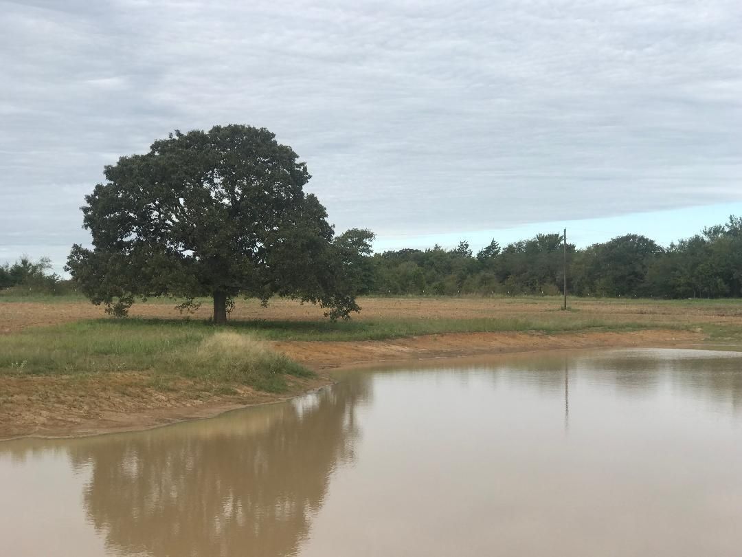 Ivanhoe, Fannin County, TX Farms and Ranches, Recreational Property