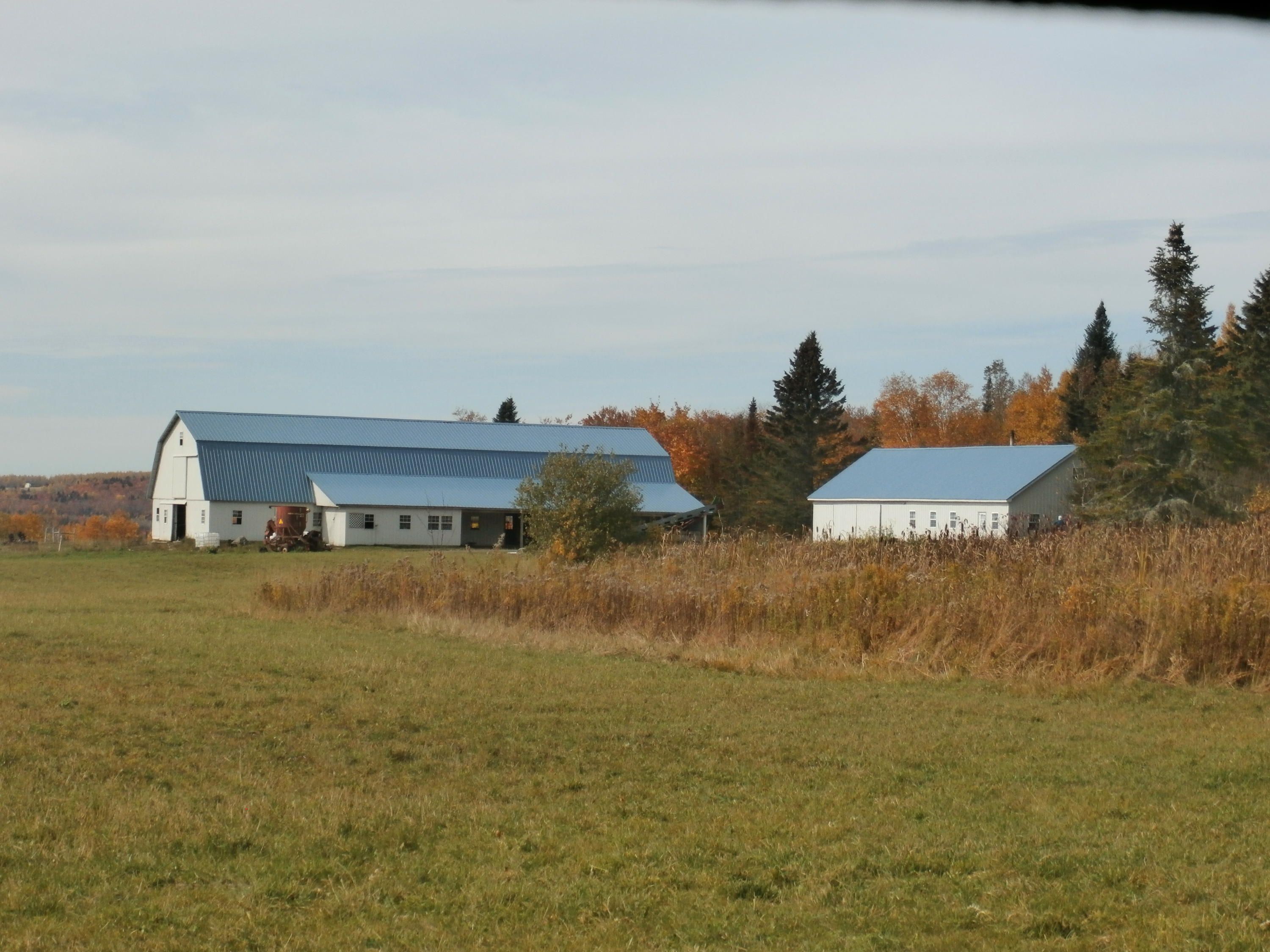 Perham, Aroostook County, ME House for sale Property ID 336492274