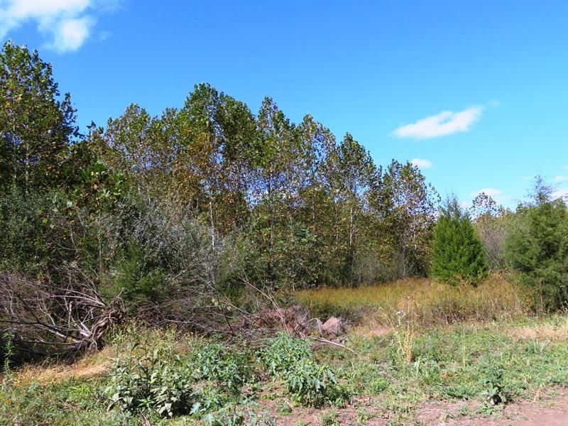 Hillsboro, Highland County, OH Undeveloped Land for sale Property ID