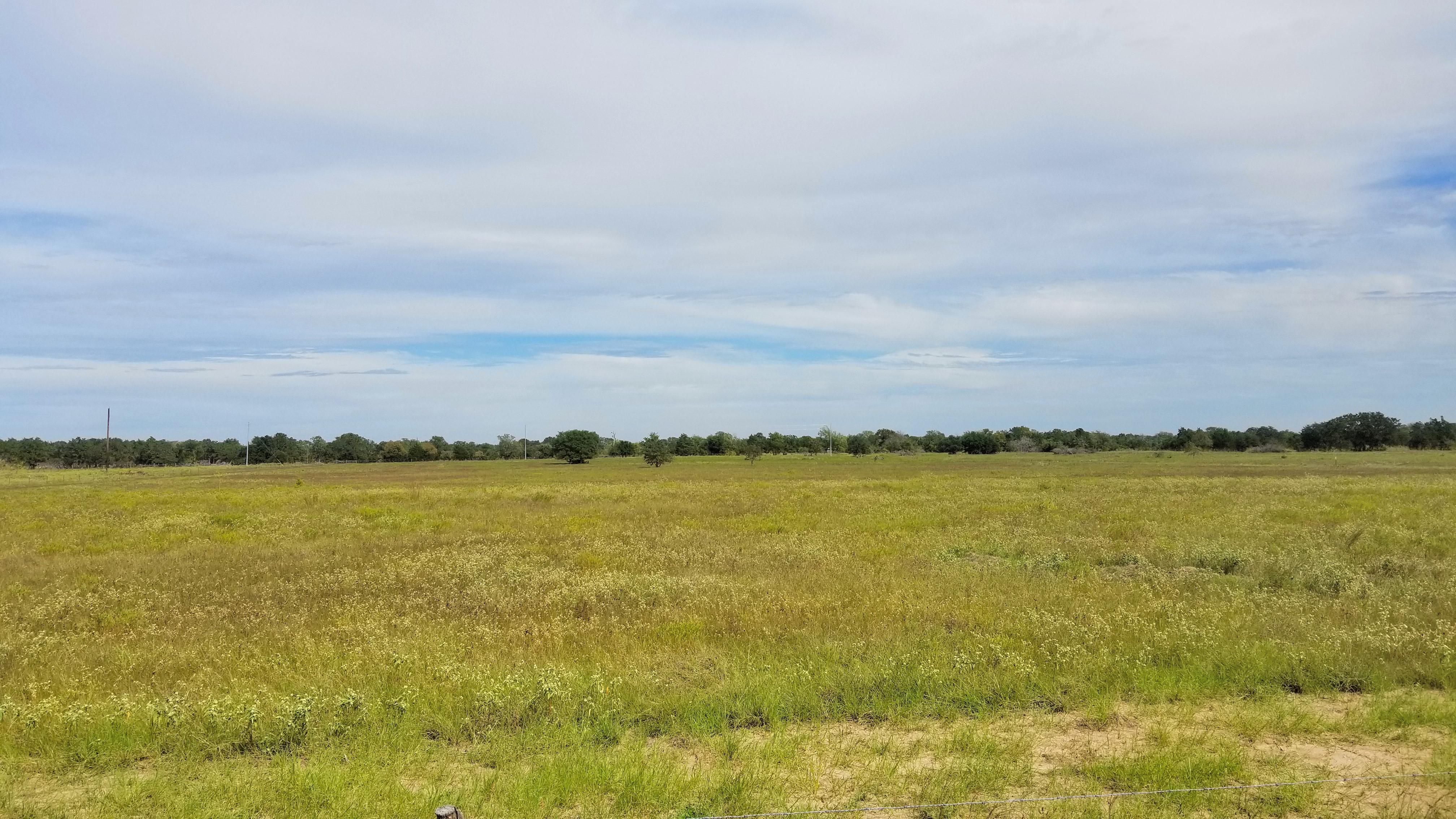 Ledbetter, Fayette County, TX Horse Property for sale Property ID