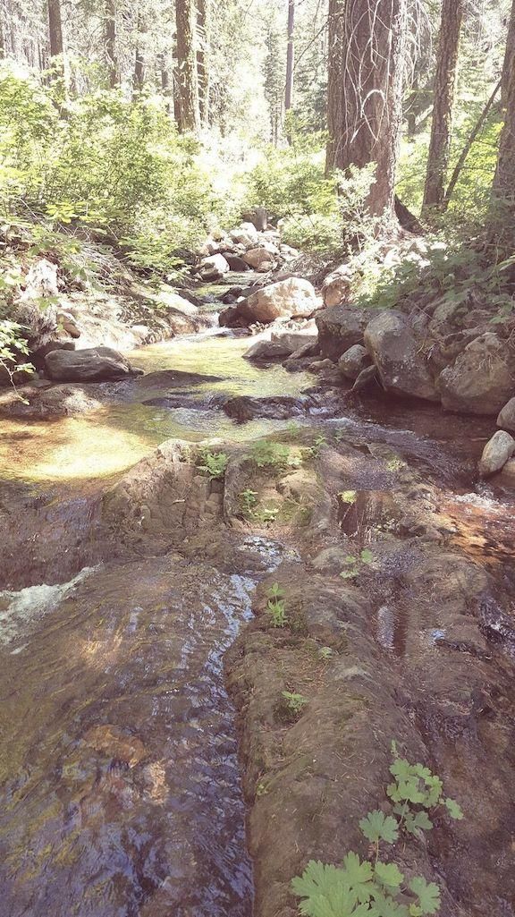 Gould, Jackson County, CO Recreational Property, Riverfront Property