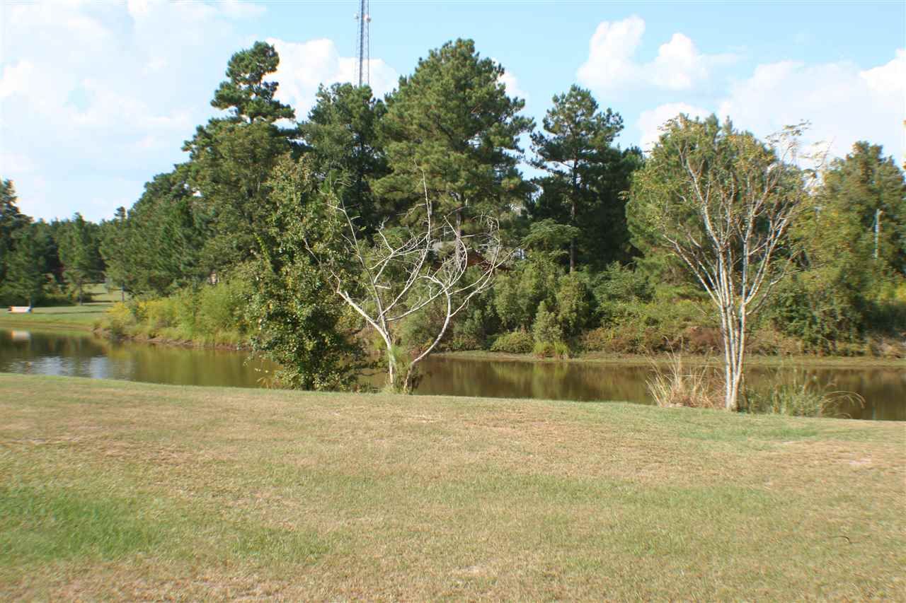 Eastman, Dodge County, GA Undeveloped Land, Homesites for sale Property