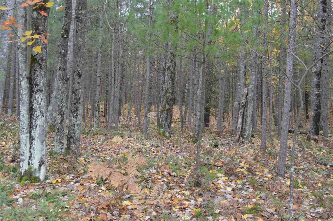 Wausaukee, County, WI Undeveloped Land for sale Property ID