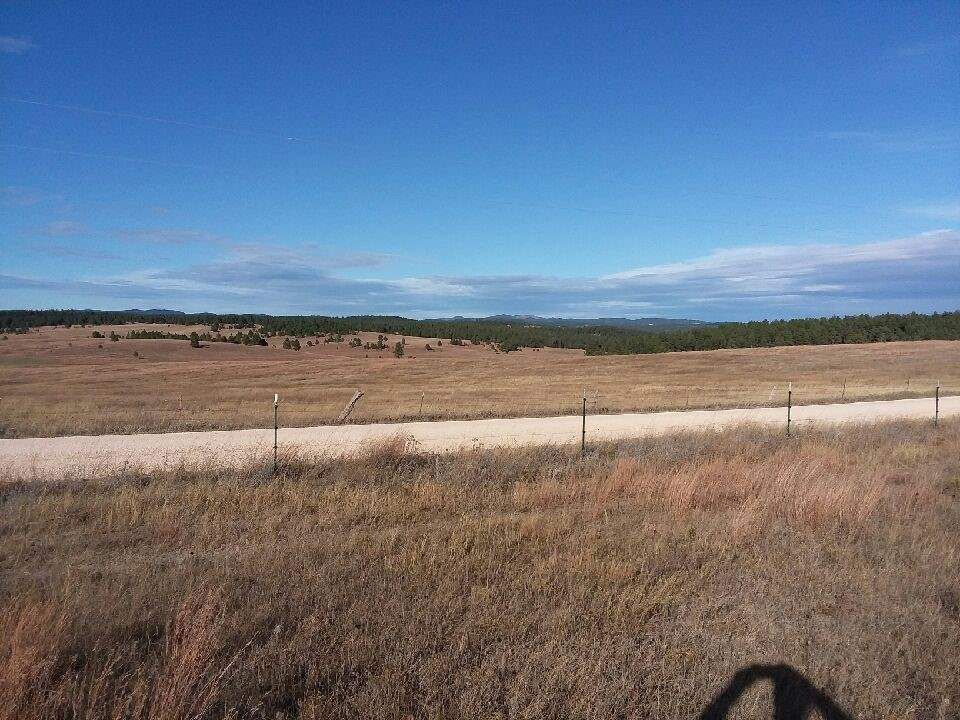 Custer, Custer County, SD Undeveloped Land for sale Property ID