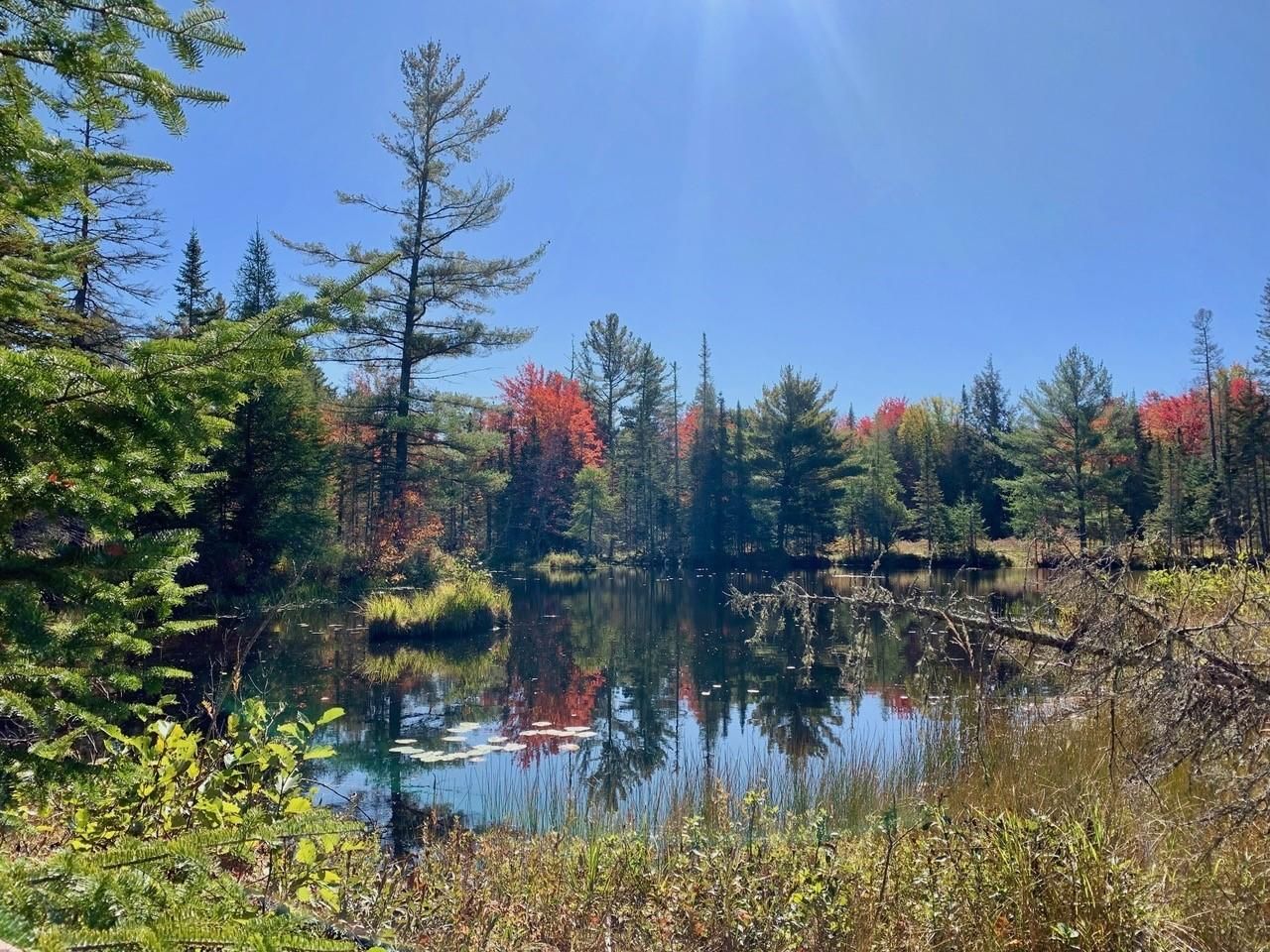 Monroe, Waldo County, ME Undeveloped Land for sale Property ID