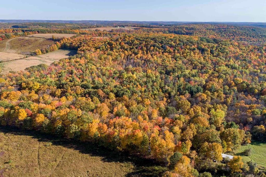 Hammondsport, Steuben County, NY Undeveloped Land for sale Property ID