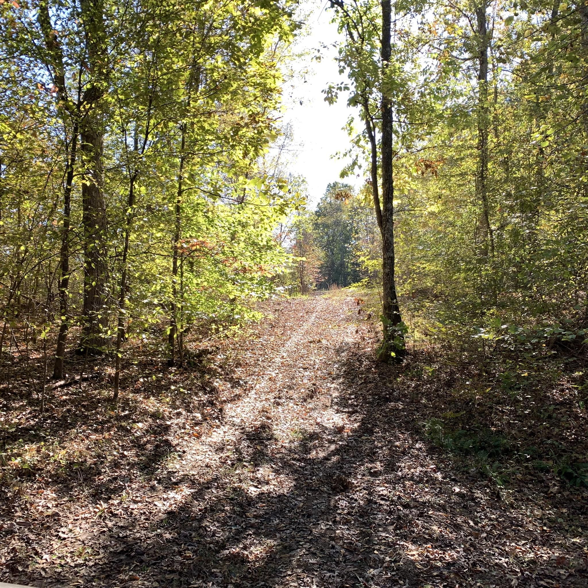 Indian Mound, Stewart County, TN Undeveloped Land for sale Property ID