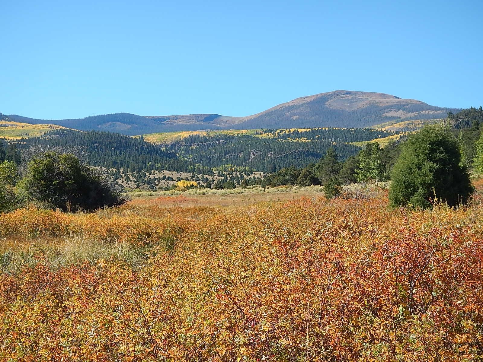 South Fork, Rio Grande County, CO Farms and Ranches for sale Property
