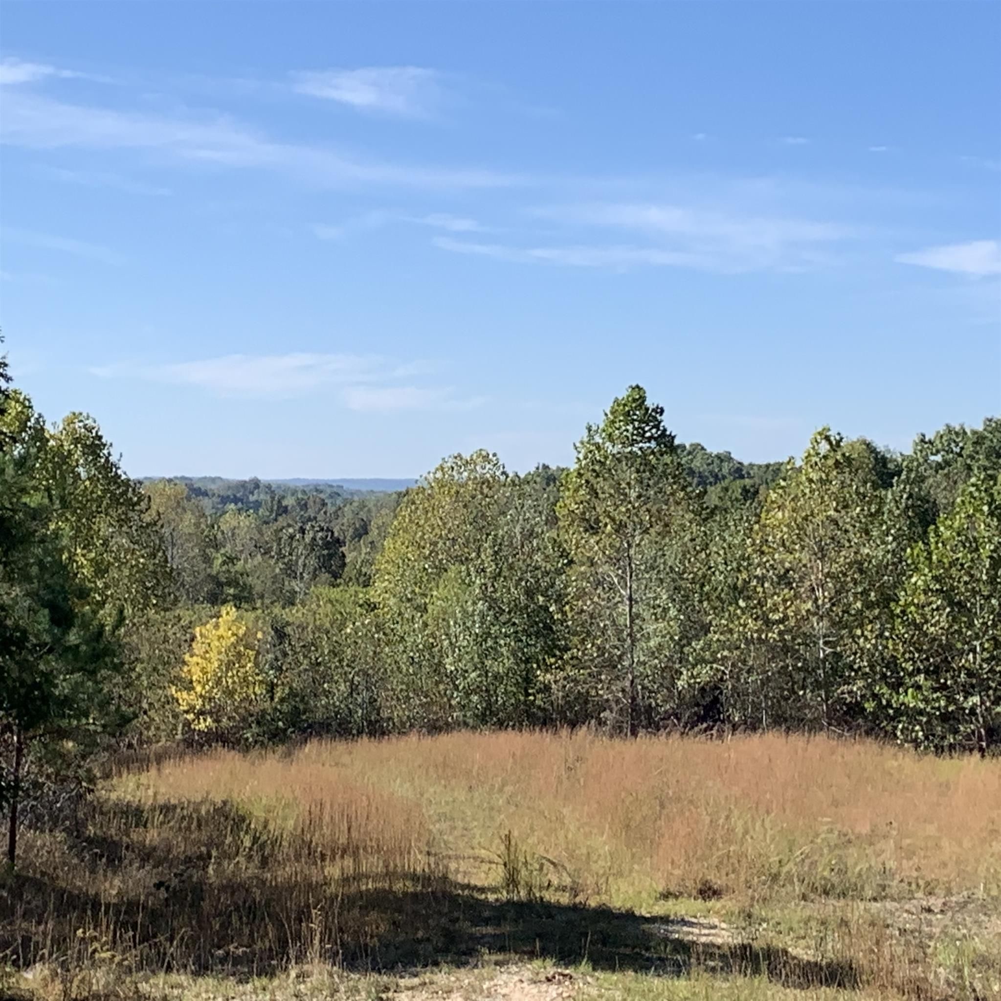 Indian Mound, Stewart County, TN Undeveloped Land for sale Property ID