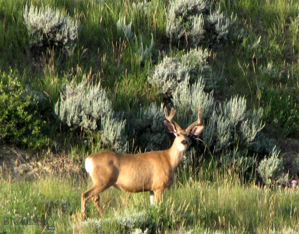 26 Crimson Sage Road, Lance Creek, WY 82222 MLS 340536 LandWatch