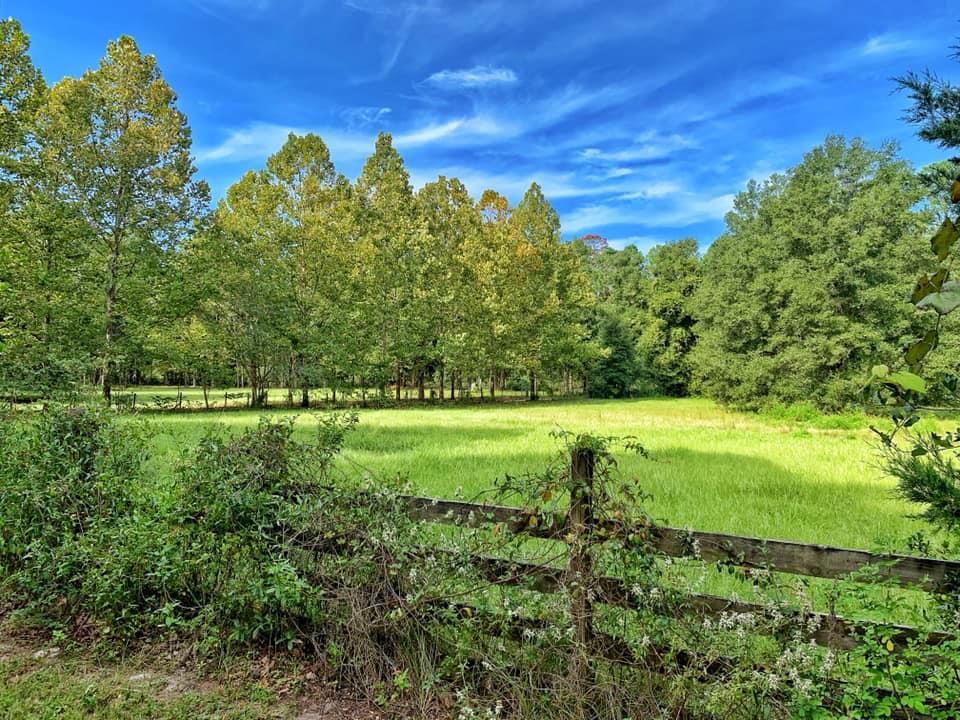 Old Town, Dixie County, FL Undeveloped Land for sale Property ID