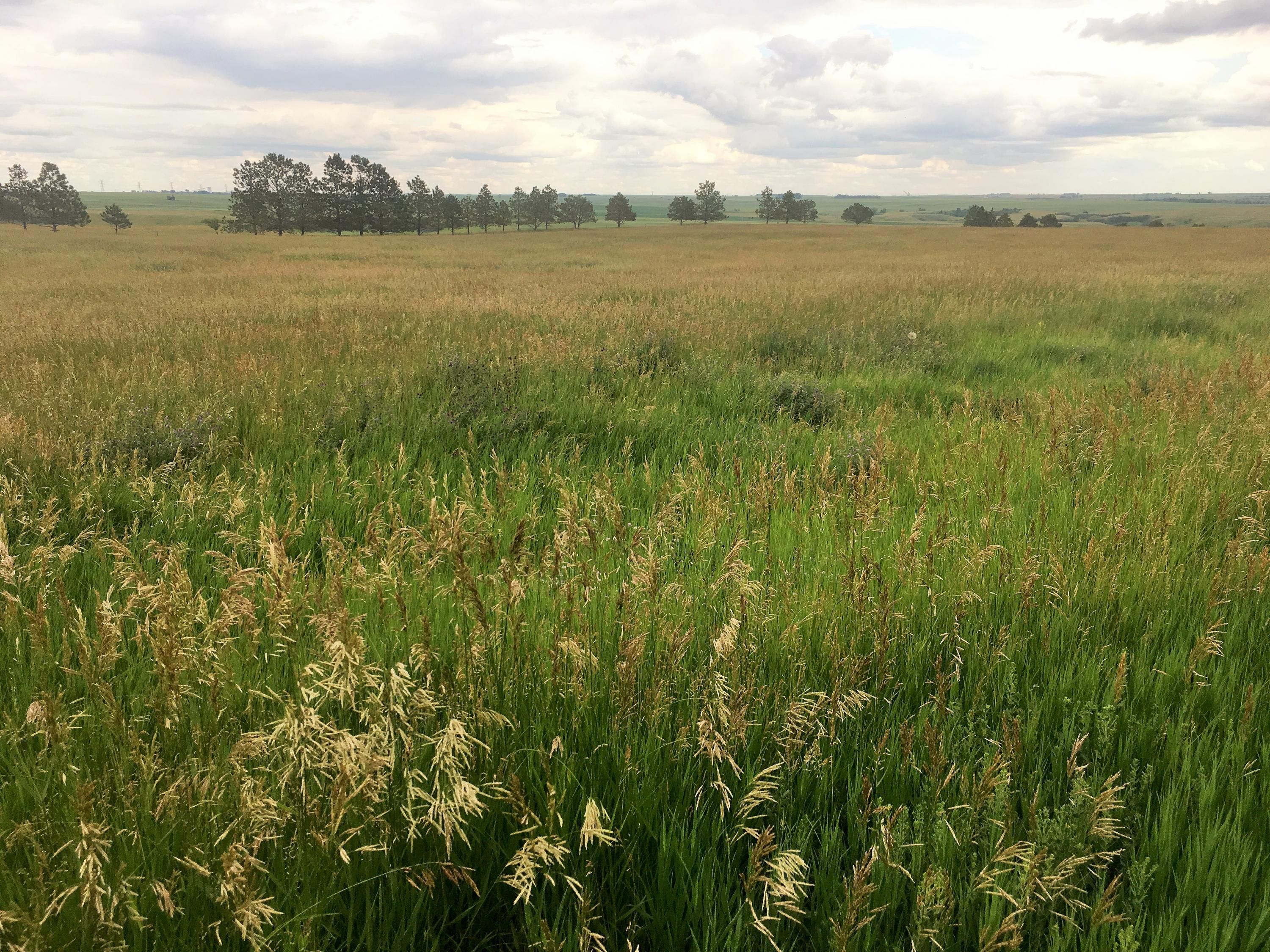 Riverdale, McLean County, ND Undeveloped Land for sale Property ID