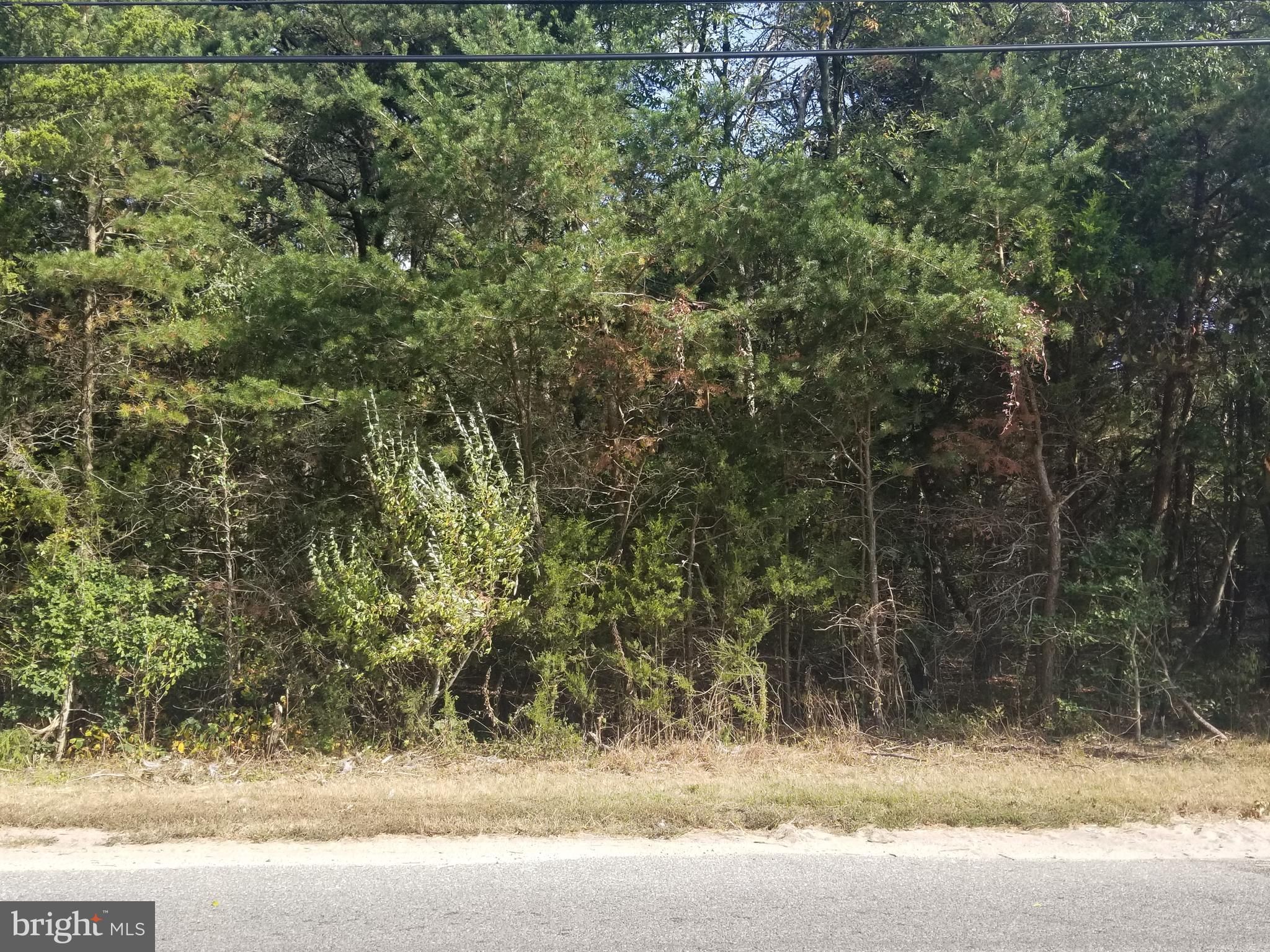 Cedarville, Cumberland County, NJ Undeveloped Land for sale Property ID