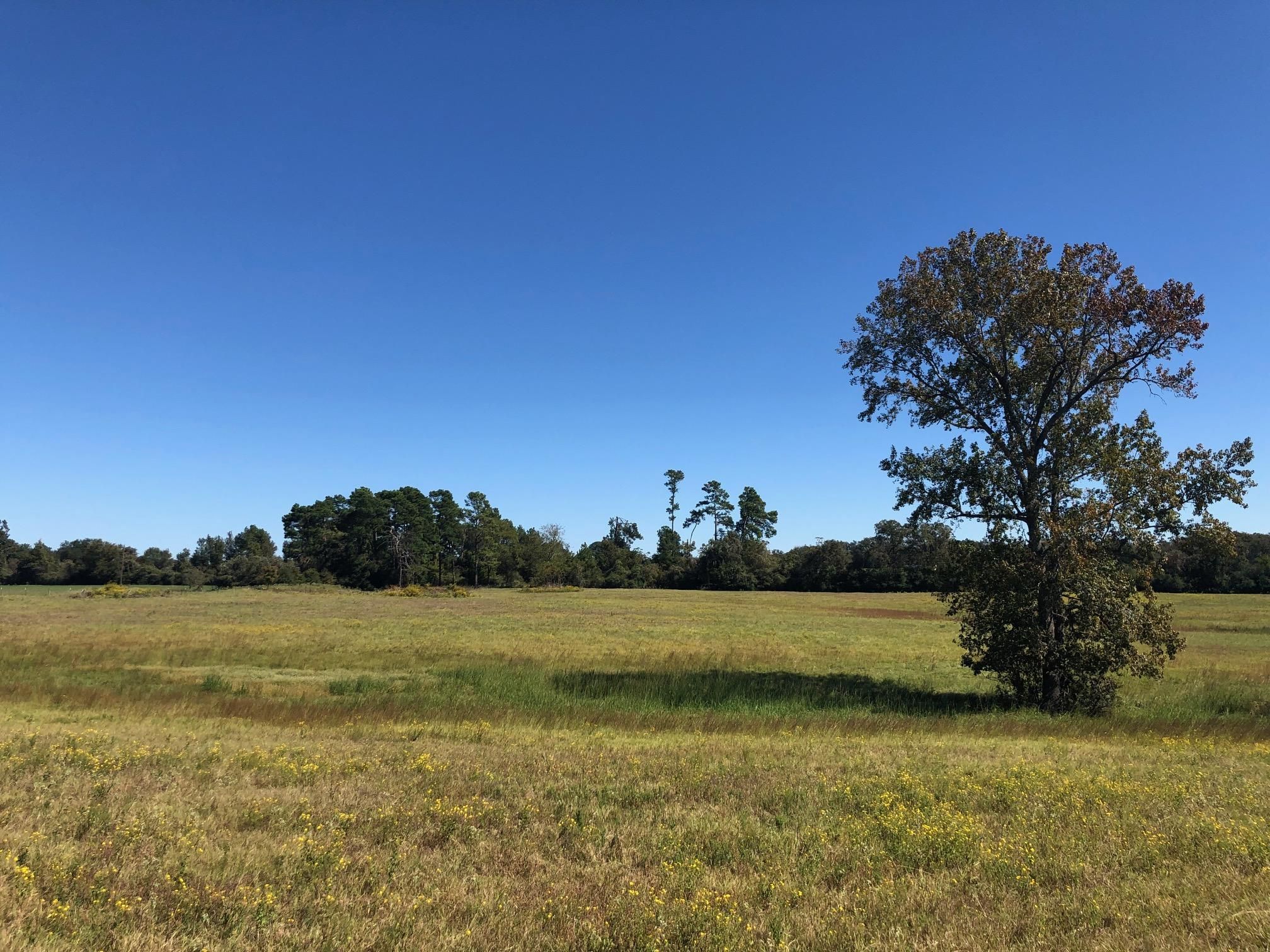 Buffalo, Leon County, TX Recreational Property, Hunting Property, House