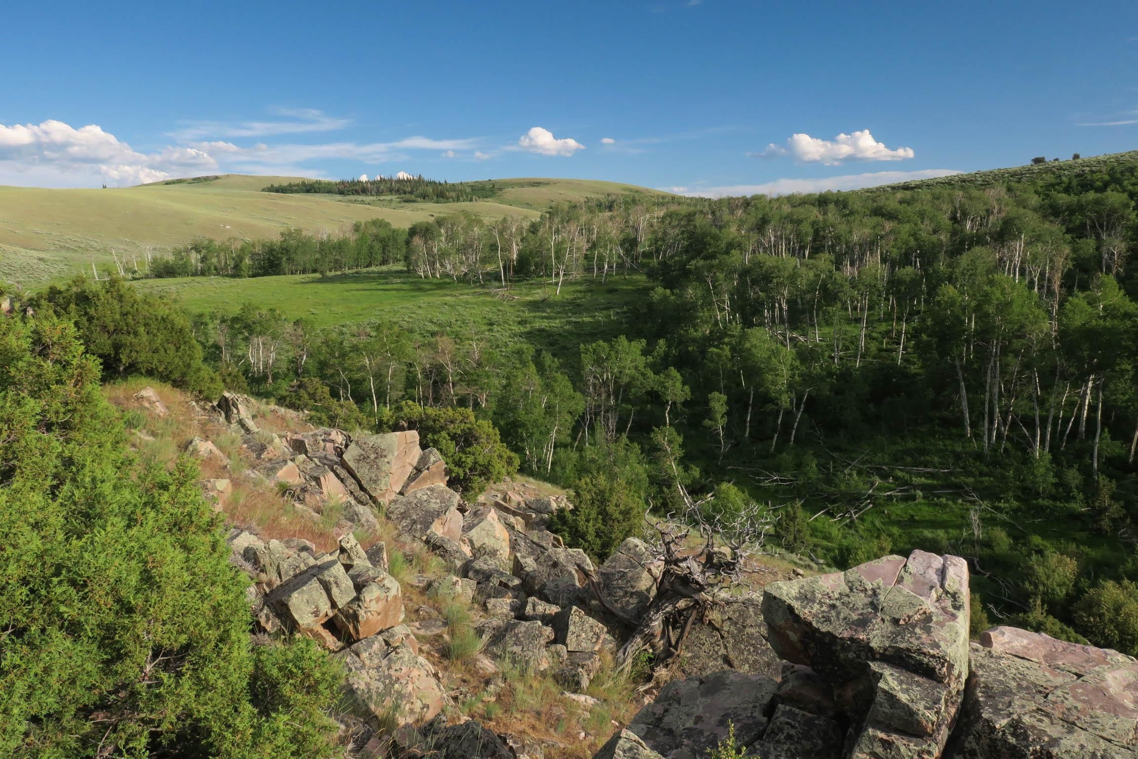 Encampment, Carbon County, WY Recreational Property, Timberland