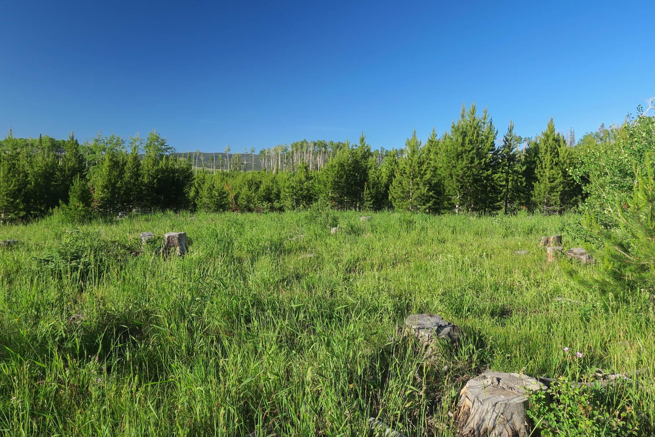 Encampment, Carbon County, WY Recreational Property, Undeveloped Land