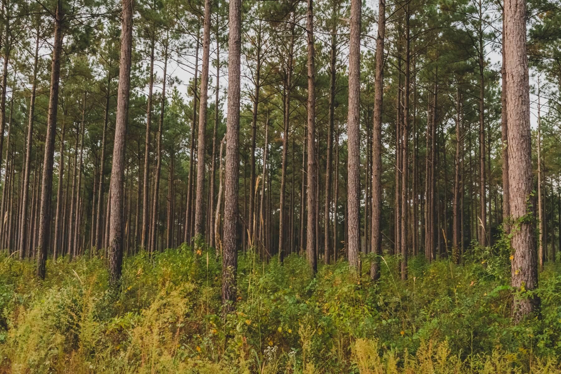 37, Leary, GA 39862 LandWatch