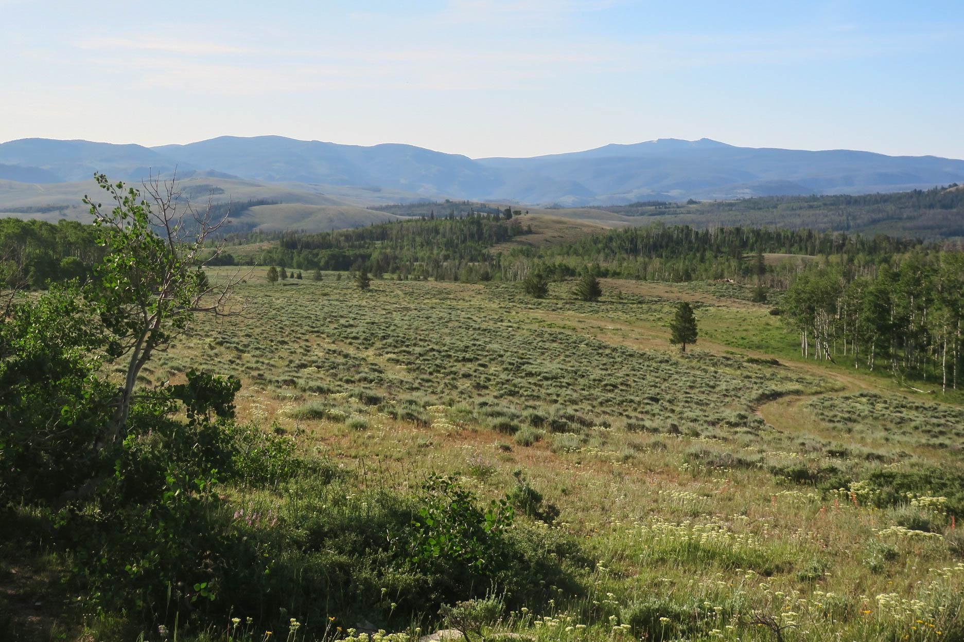 Encampment, Carbon County, WY Recreational Property, Undeveloped Land, Hunting Property for sale