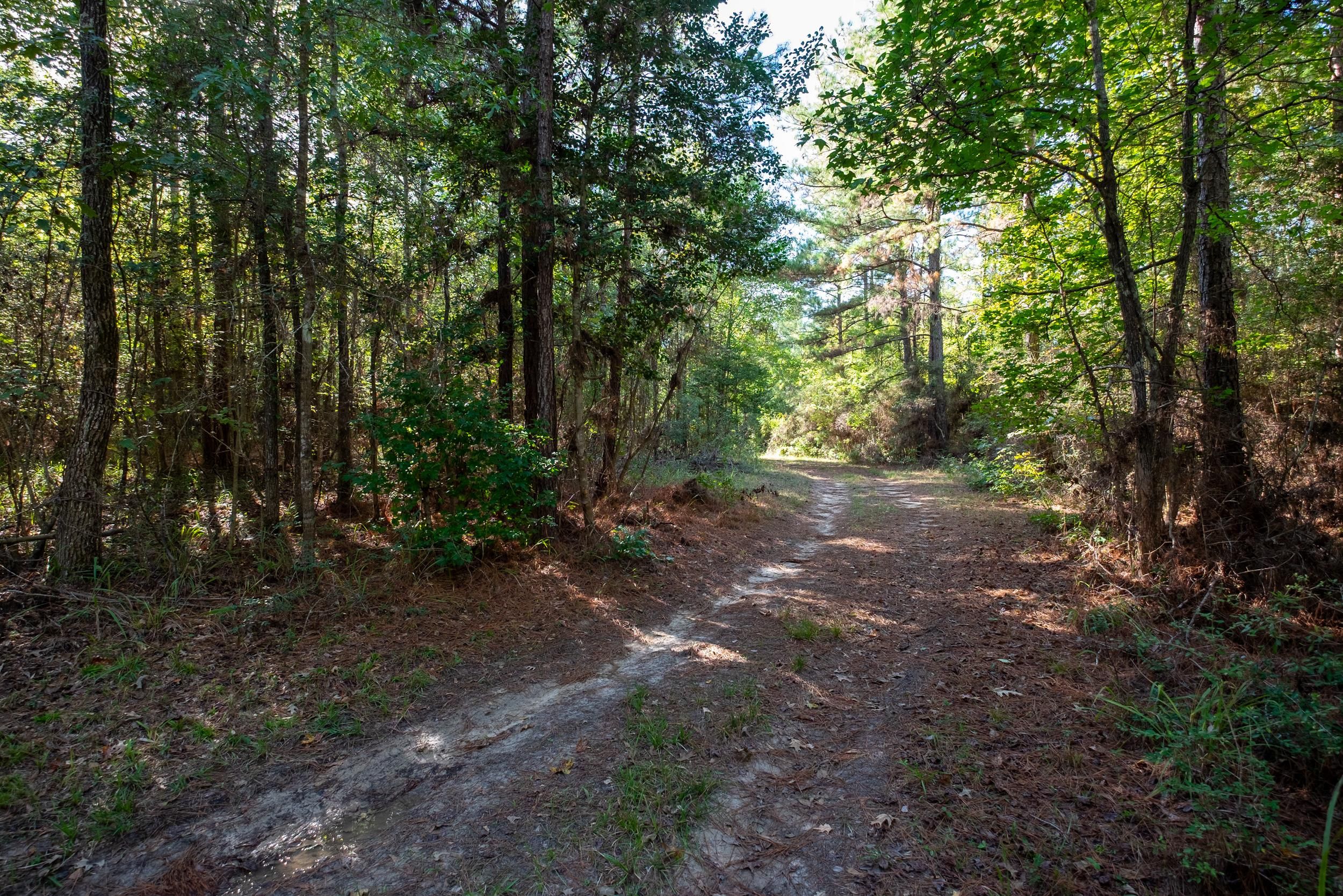 Colmesneil, Tyler County, TX Recreational Property, Timberland Property