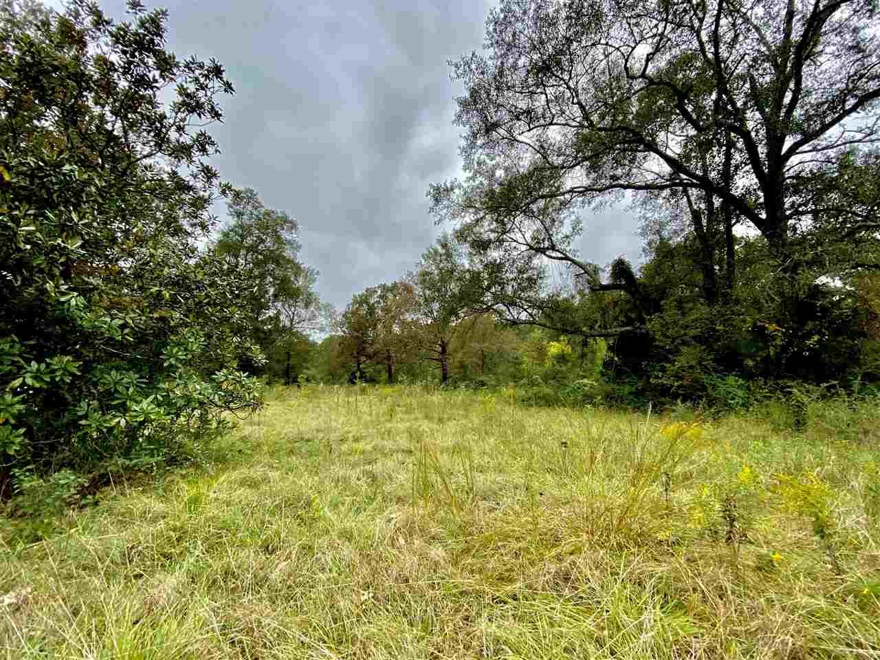 Brandon, Rankin County, MS Undeveloped Land for sale Property ID