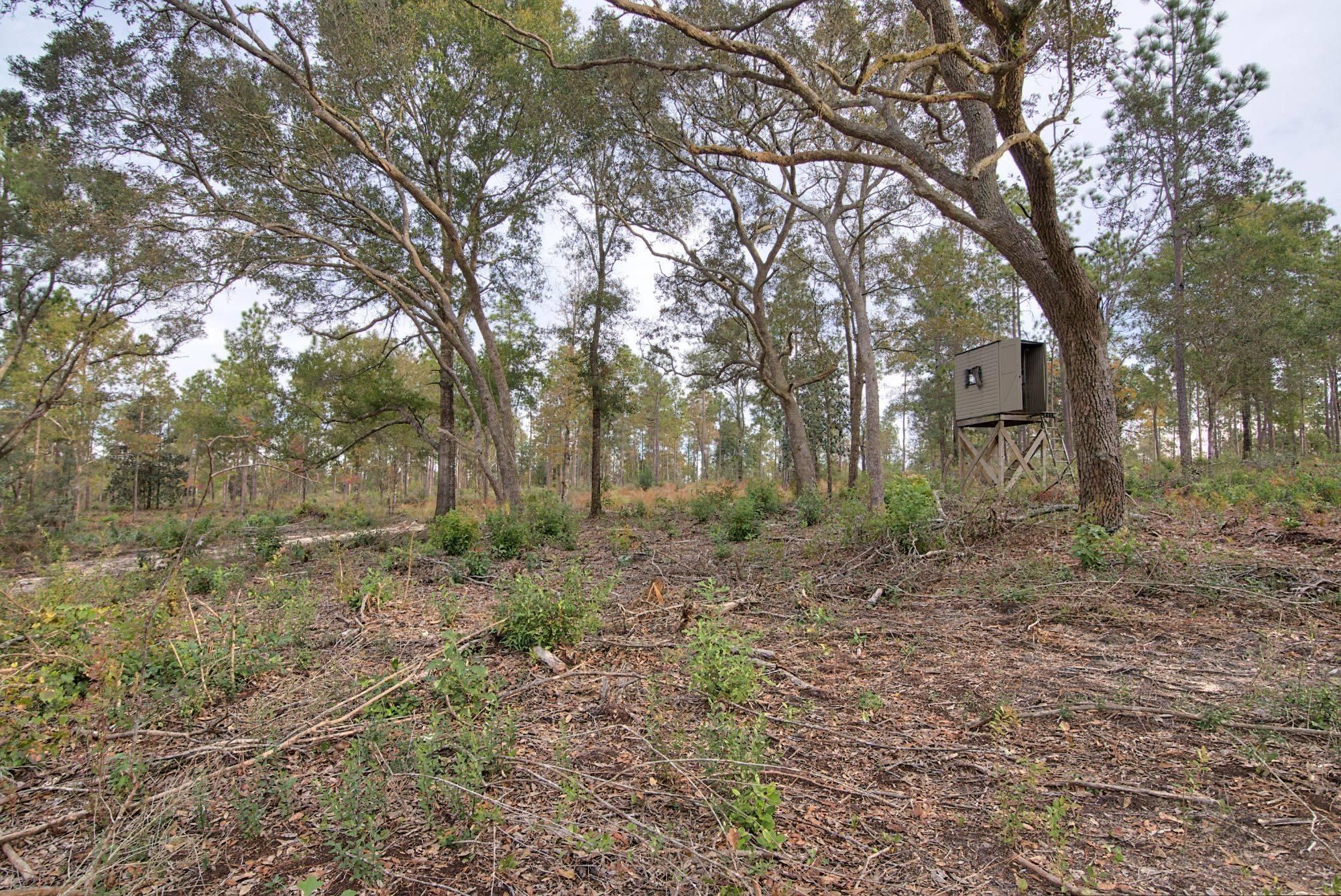 400 acres in Stapleton, AL, 36578 LandWatch