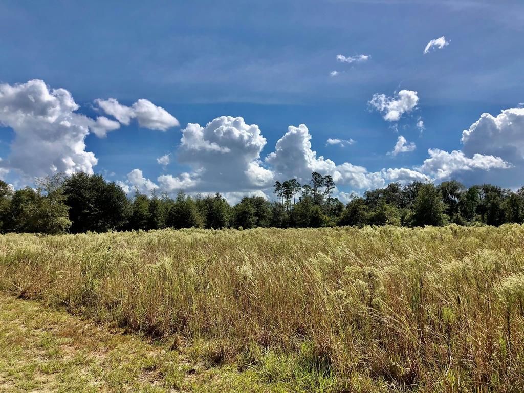 Hawthorne, Alachua County, FL Undeveloped Land for sale Property ID